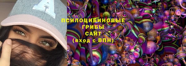 стаф Верхний Тагил