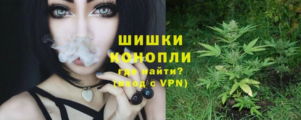 стаф Верхний Тагил